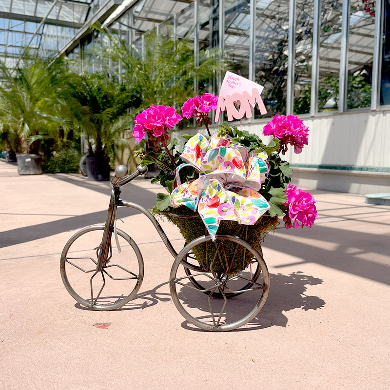 Metal Tricycle Planter
