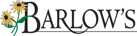 Barlow's
