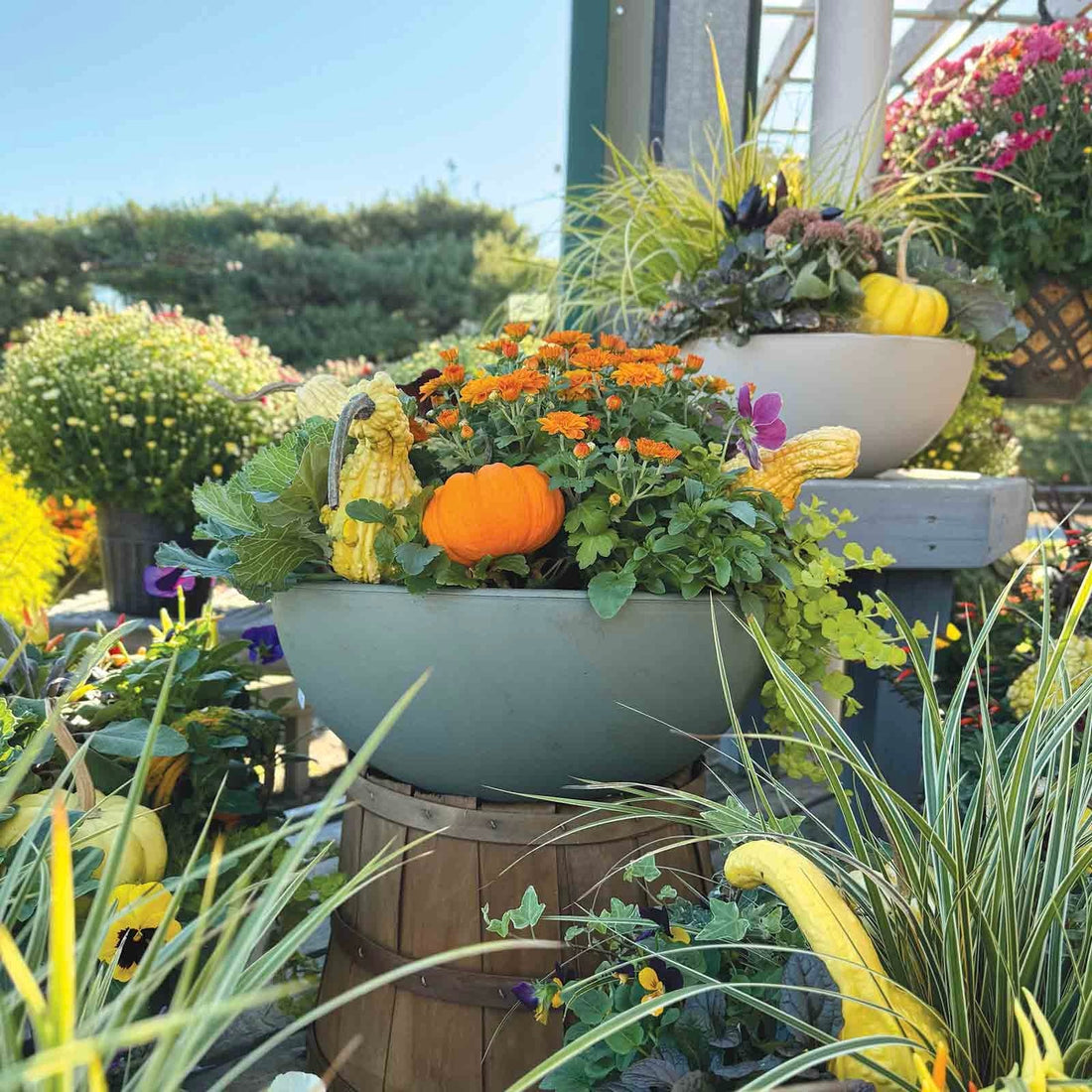 Fall Container Gardening
