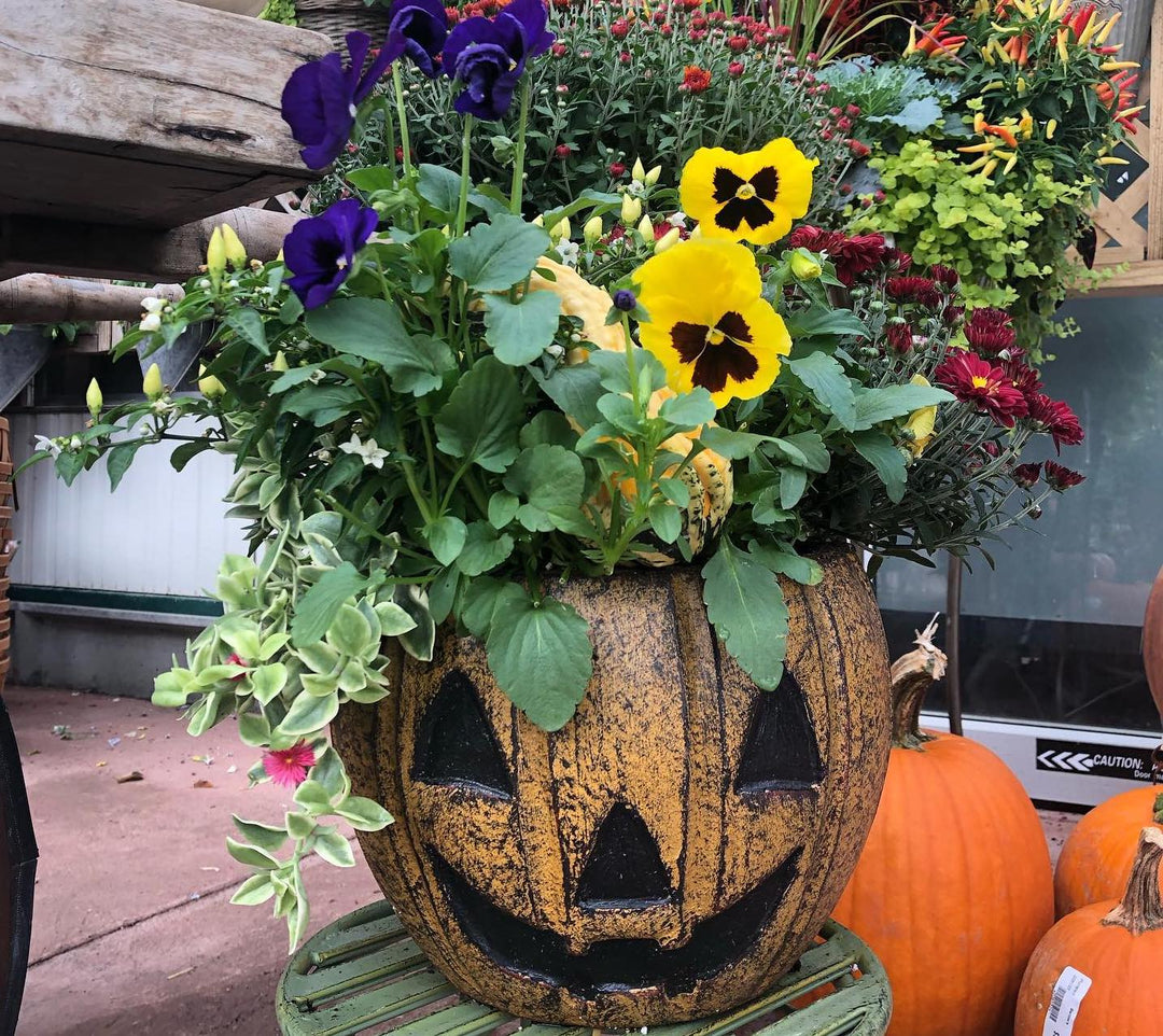 Fall Container Gardening