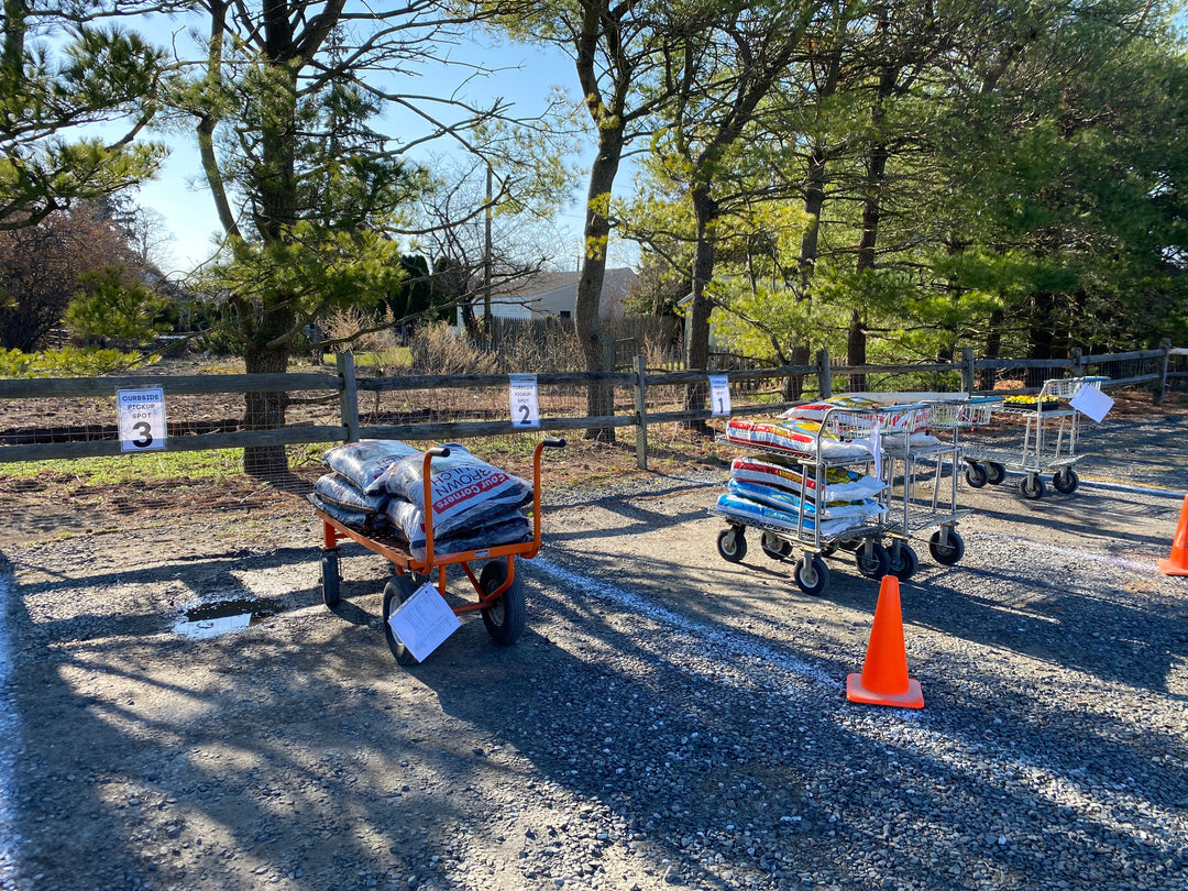 No-Contact Curbside Pickup & Local Delivery