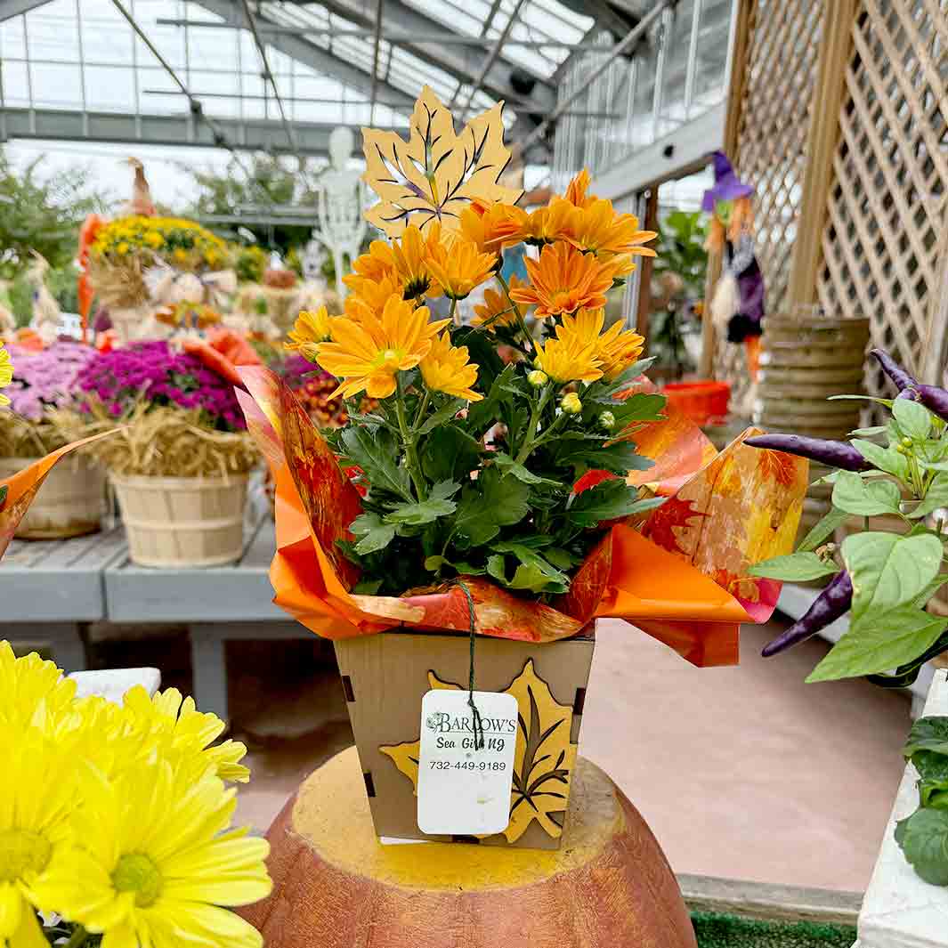 Wooden Autumn Blooming Box