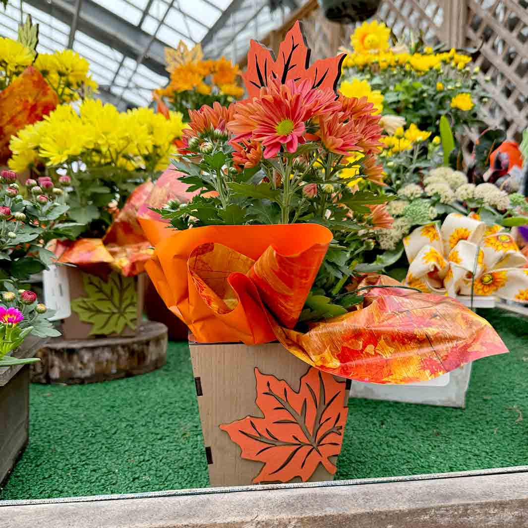 Wooden Autumn Blooming Box