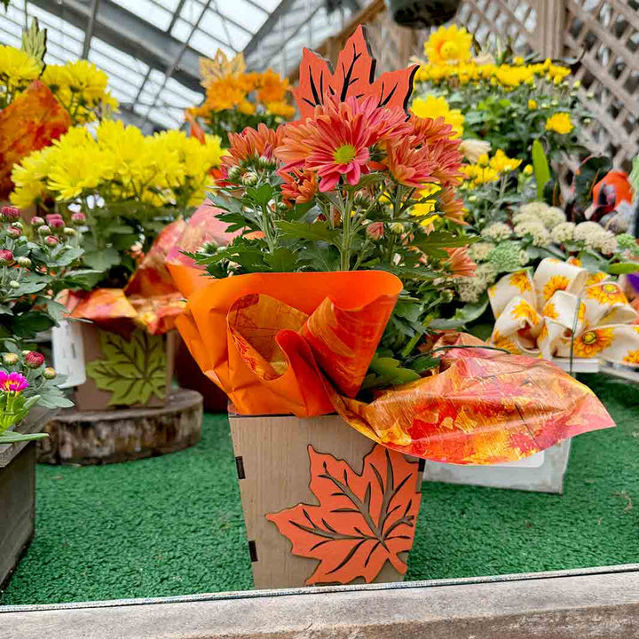 Wooden Autumn Blooming Box