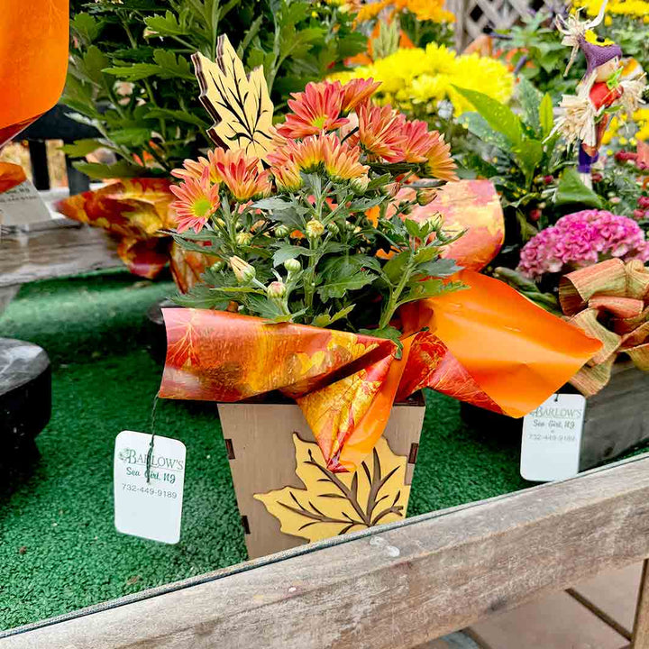 Wooden Autumn Blooming Box