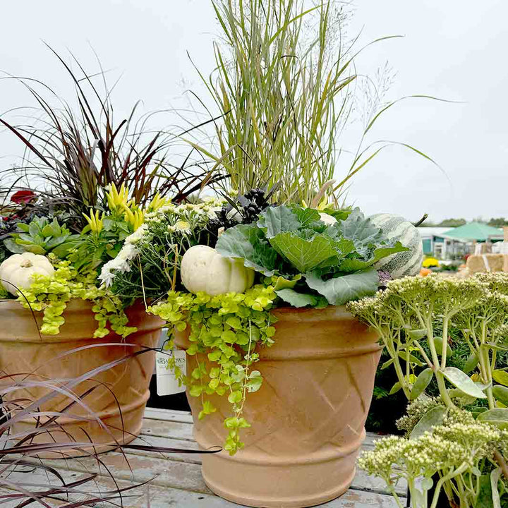 Terracotta Basket Weave Planter