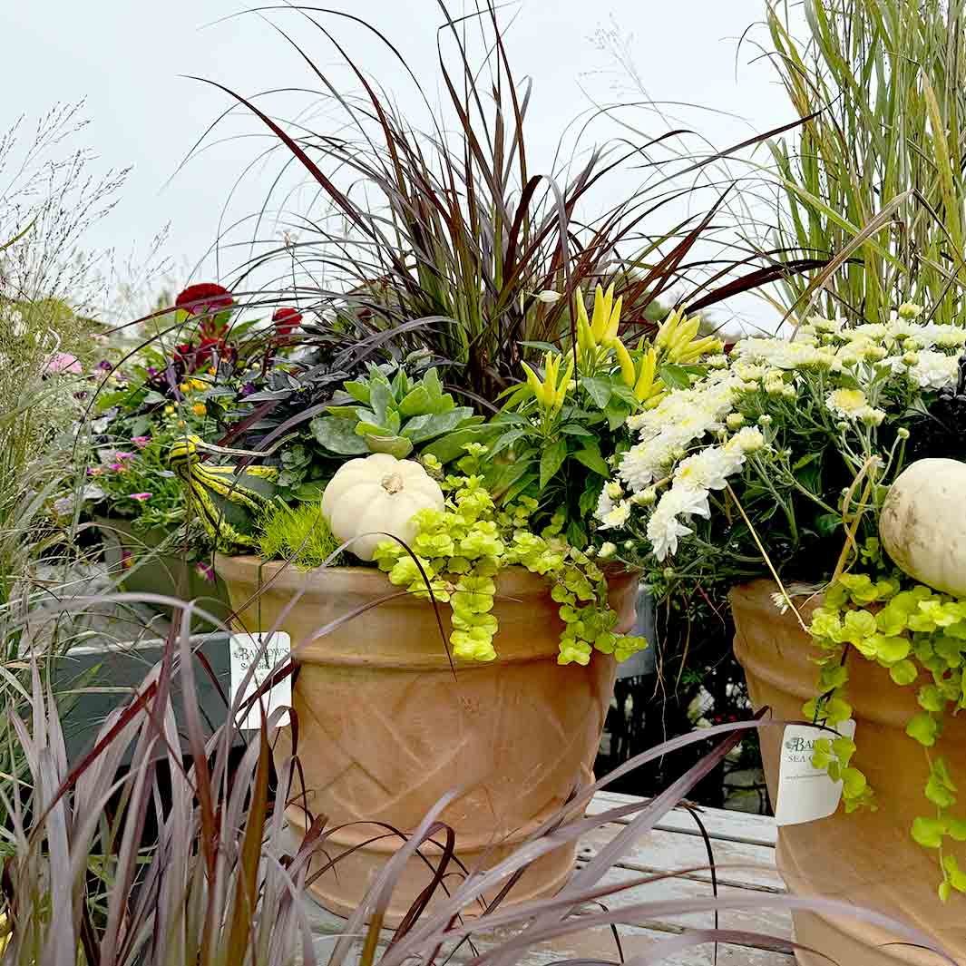 Terracotta Basket Weave Planter