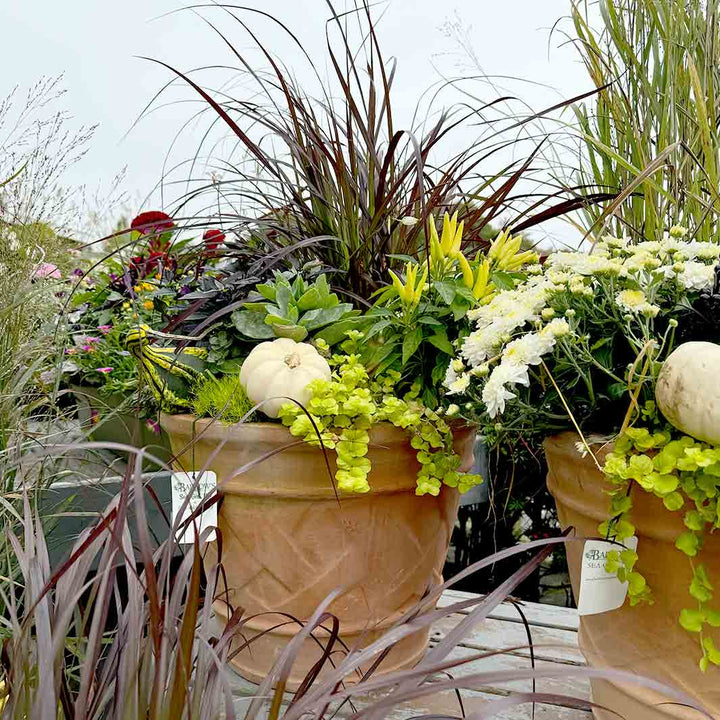 Terracotta Basket Weave Planter