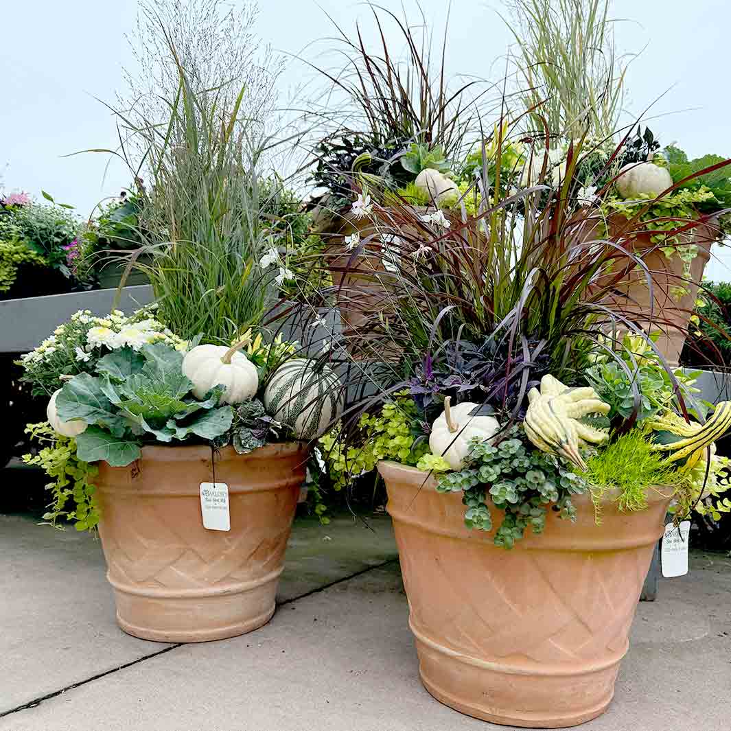 Terracotta Basket Weave Planter