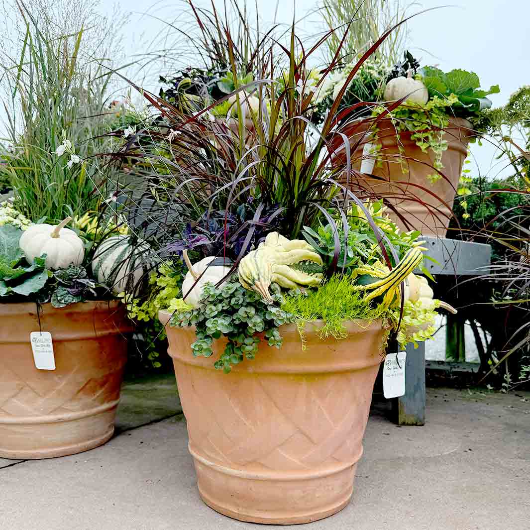 Terracotta Basket Weave Planter