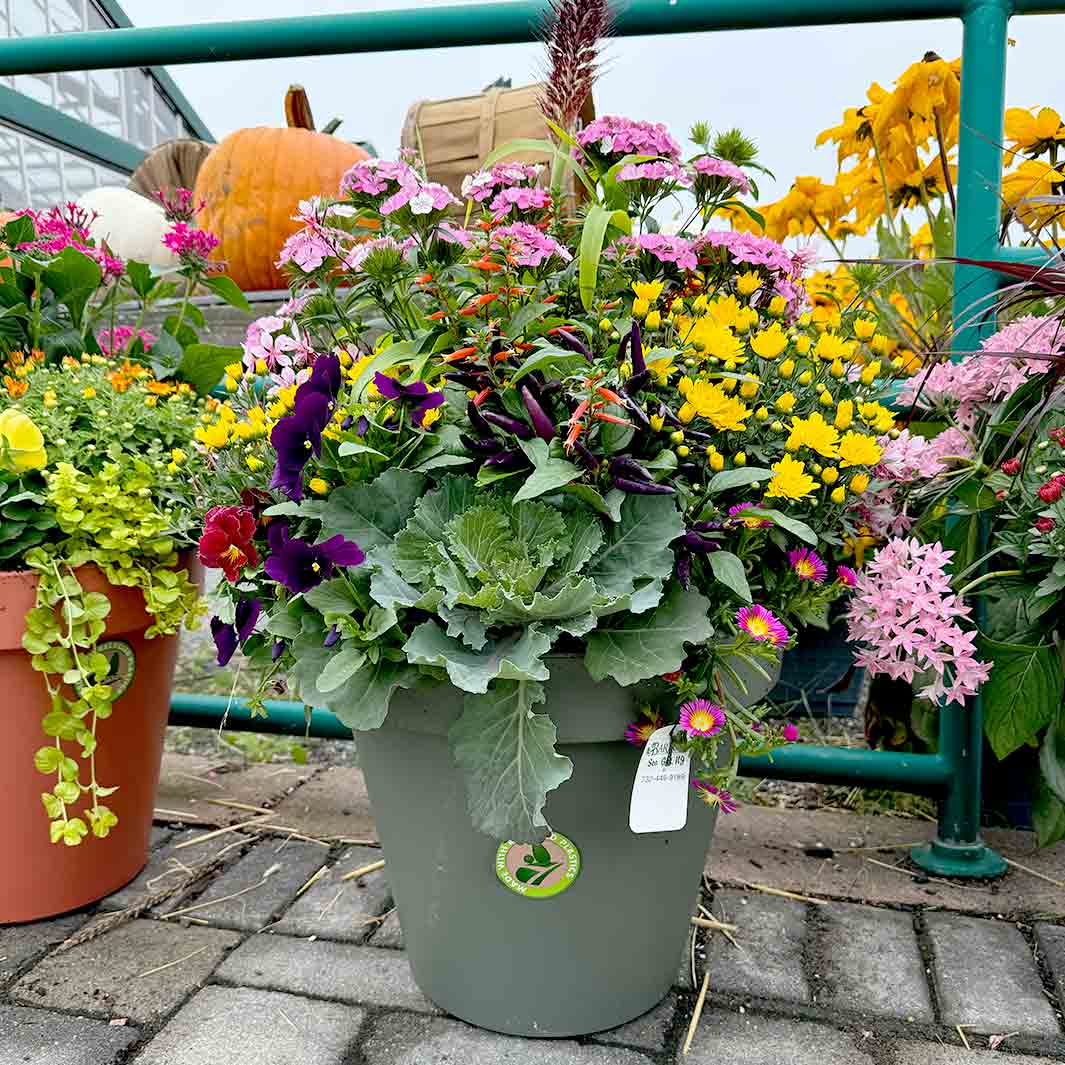 Lightweight Fall Patio Planters