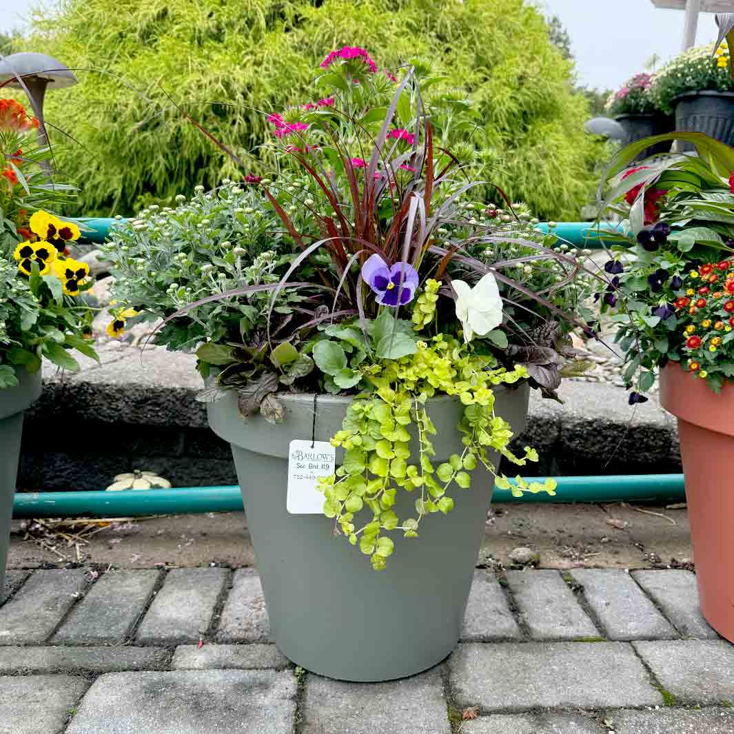 Lightweight Fall Patio Planters