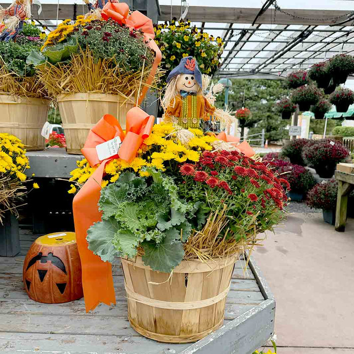 Grande Harvest Peach Basket