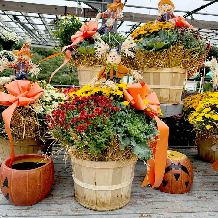 Grande Harvest Peach Basket