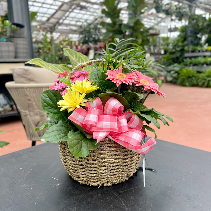 Deluxe Indoor Blooming Garden Basket