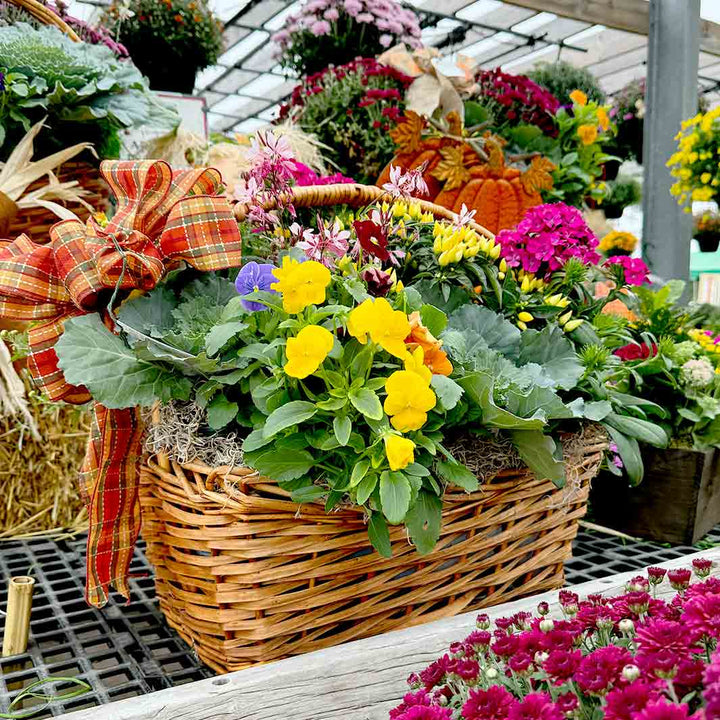 Supreme Fall Blooming Basket