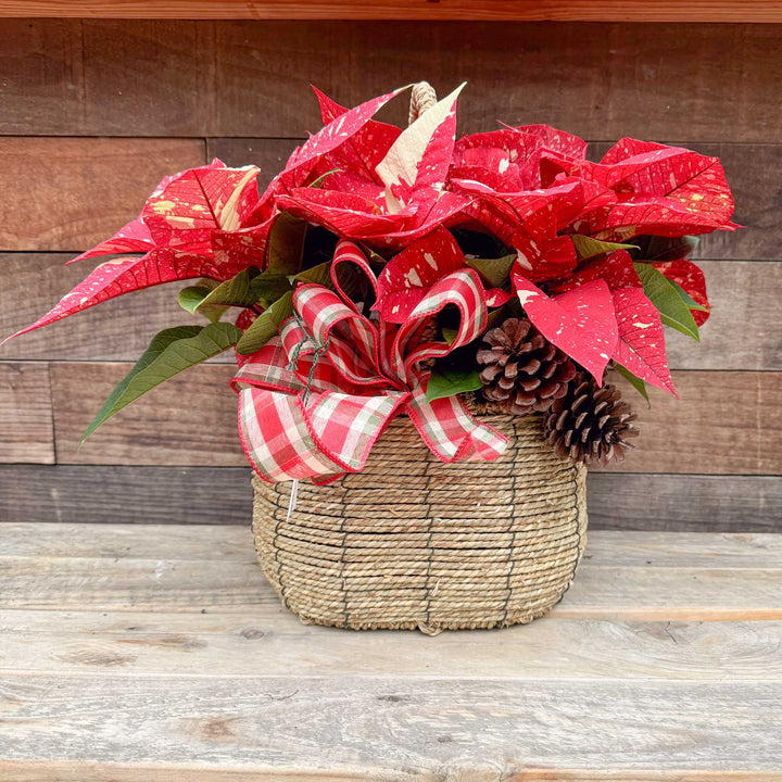 Poinsettia Pinecone Basket