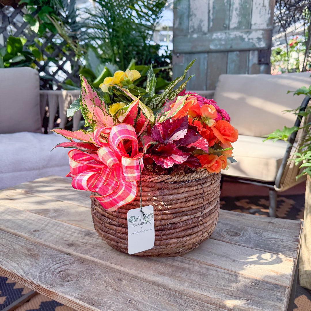 Indoor Deluxe Round Blooming Basket