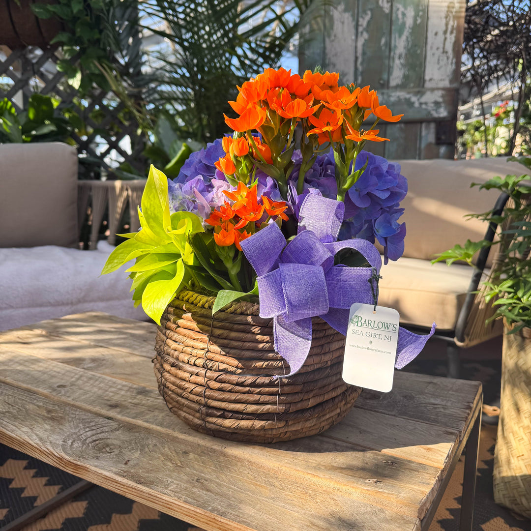 Indoor Deluxe Round Blooming Basket