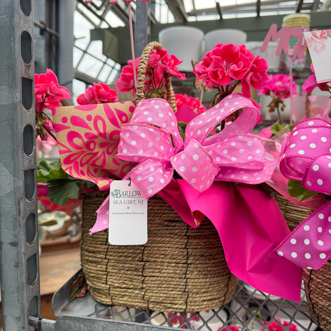Mother's Day Geranium Gift Basket