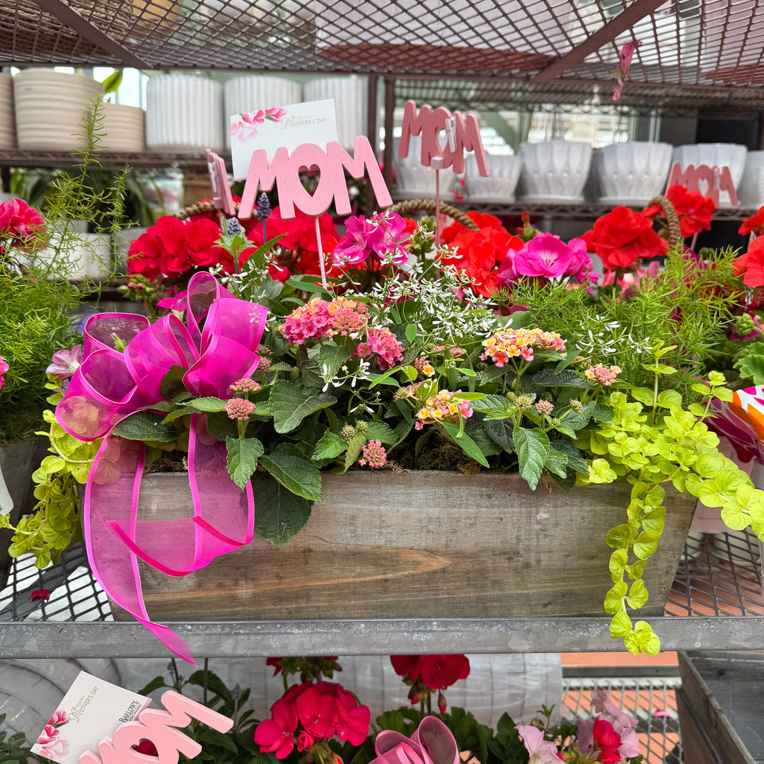 Mother's Day Flowering Wooden Box