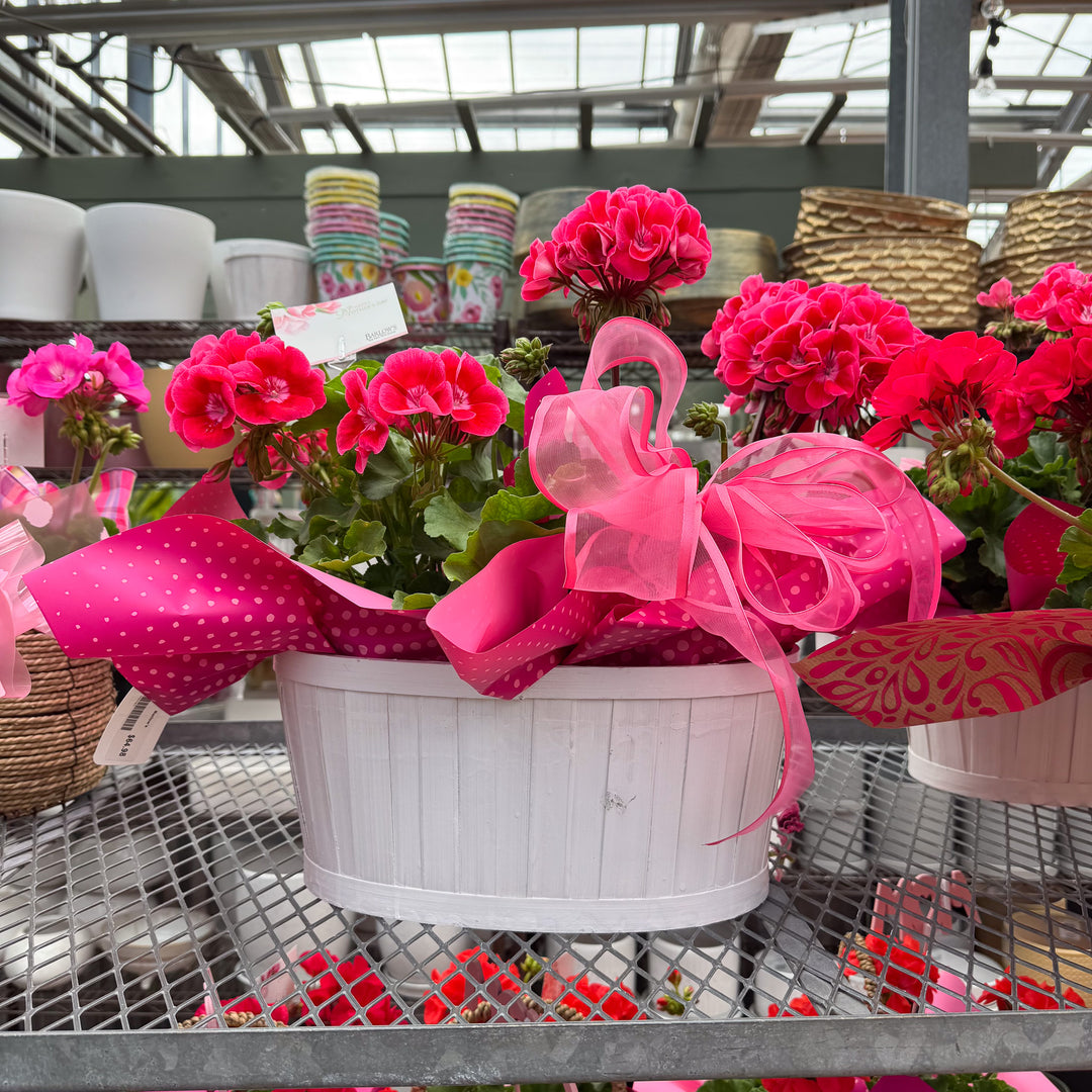 Mother's Day Blooming White Basket