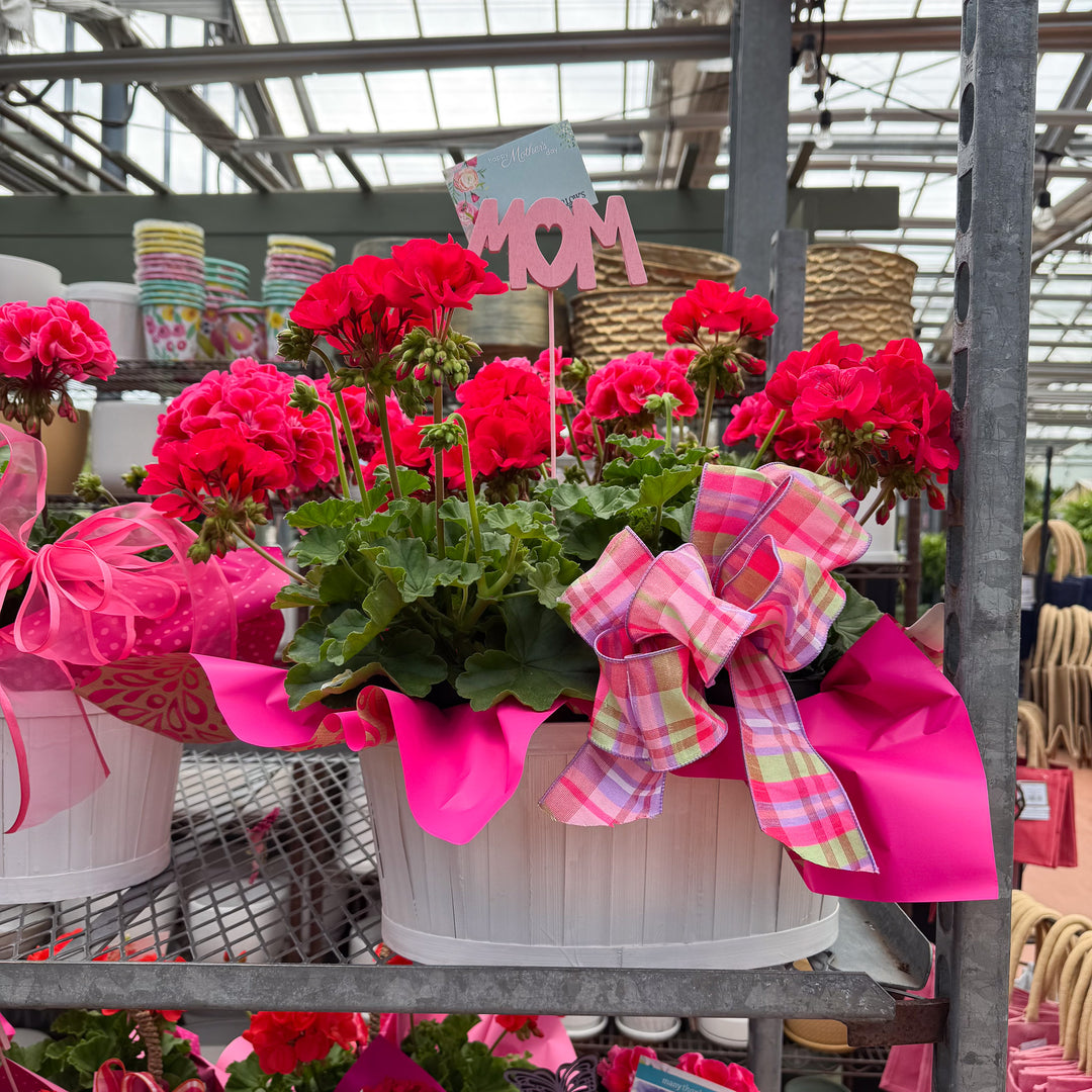 Mother's Day Blooming White Basket