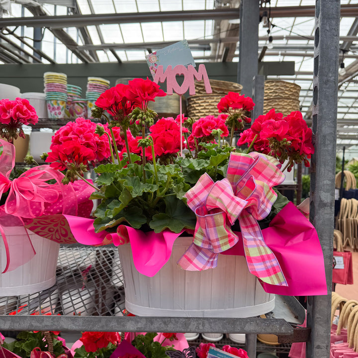 Mother's Day Blooming White Basket