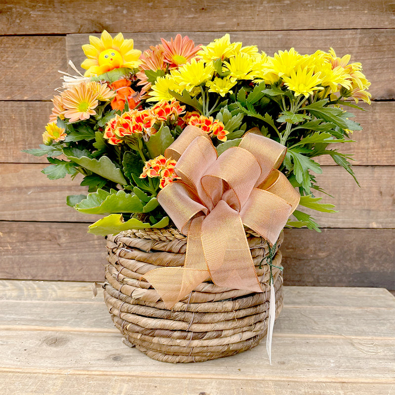 Indoor Natural Autumn Planter