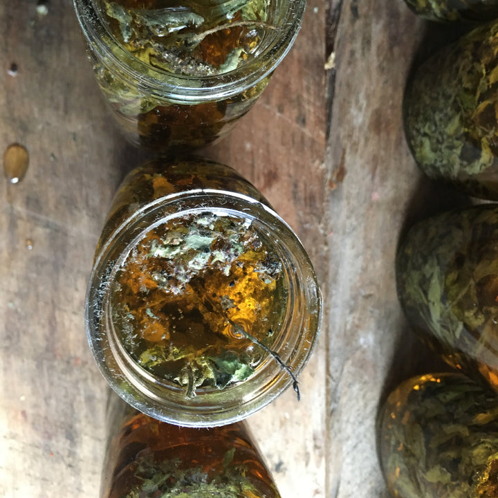 WORKSHOP: Infused Honey Workshop with MotMot Collective | Saturday, April 12th 10:00 - 11:30 AM