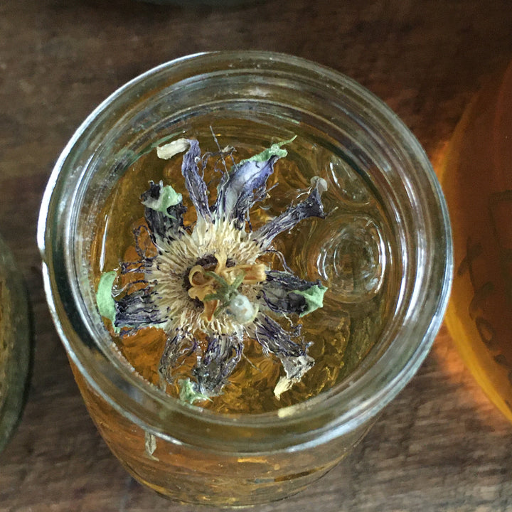 WORKSHOP: Infused Honey Workshop with MotMot Collective | Saturday, April 12th 10:00 - 11:30 AM