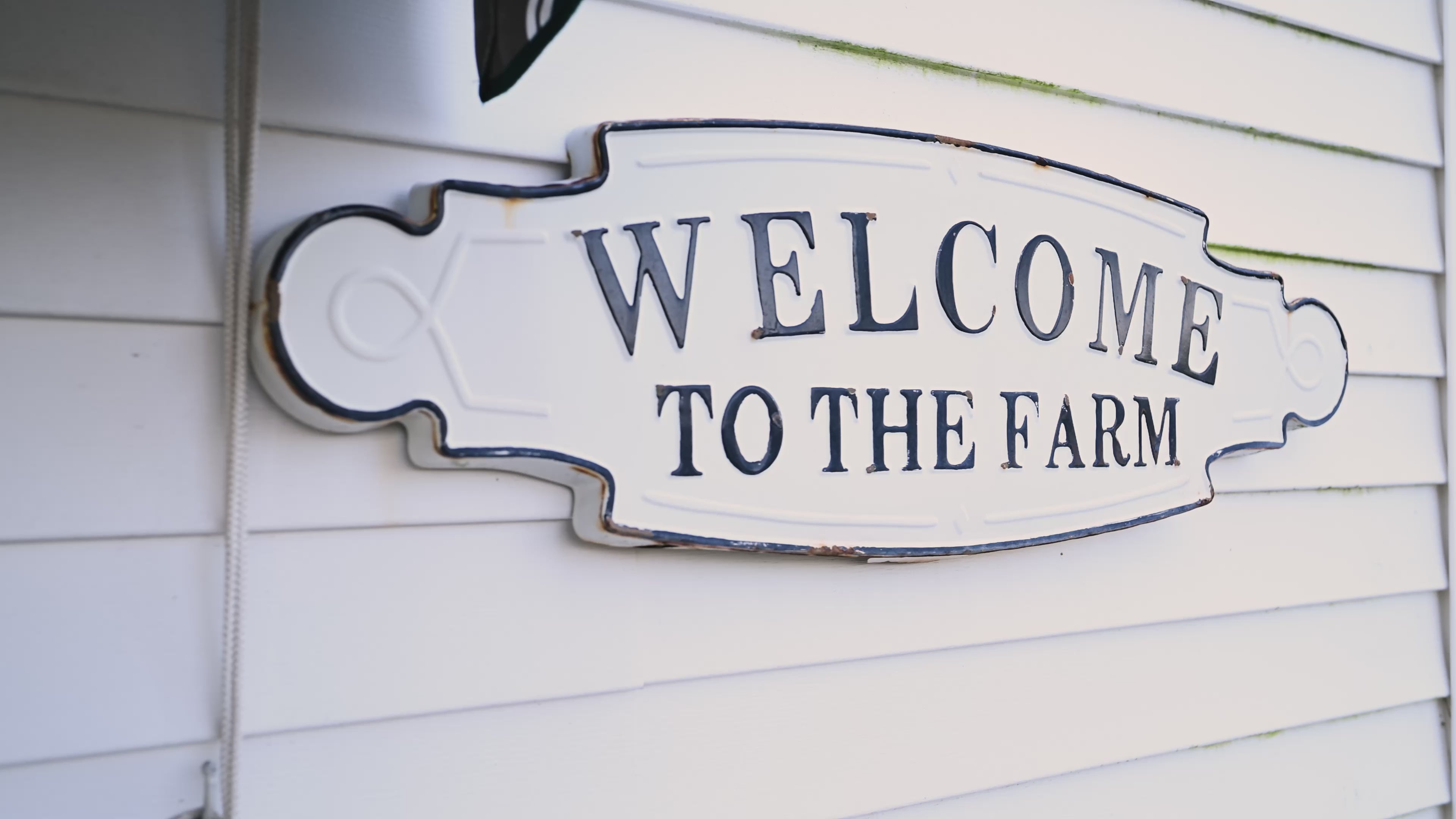 Load video: Drone footage of Barlow's farm and flowers in Wall township, NJ