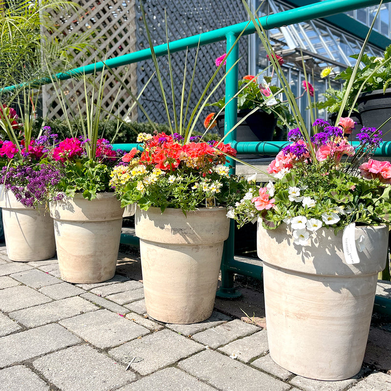 Tall Rustic Clay Container Garden