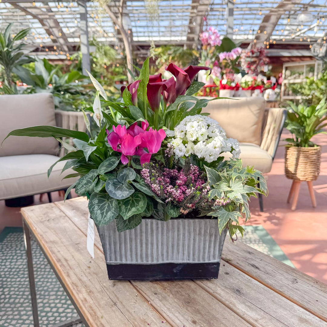 Rustic Indoor Blooming Tin