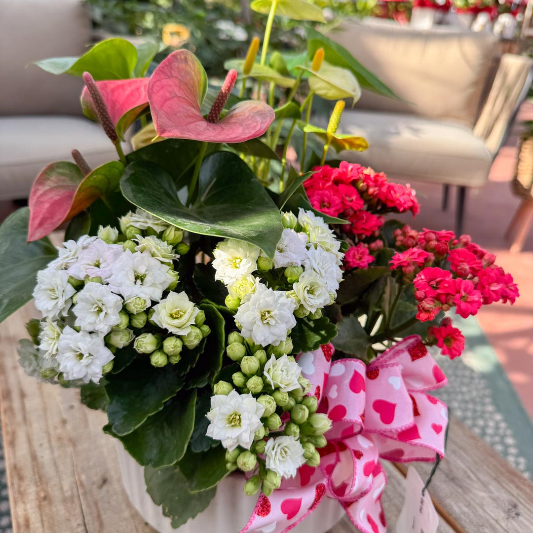 White Ceramic Indoor Dish Garden