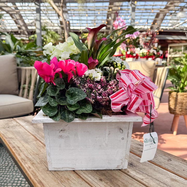 Indoor White Wooden Dish Garden