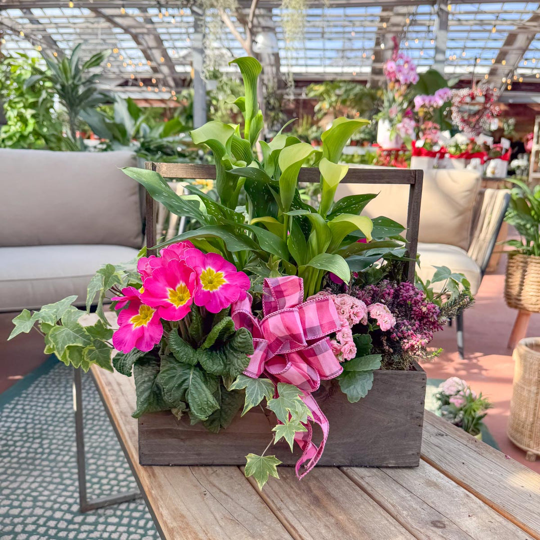 Deluxe Indoor Spring Blooming Box