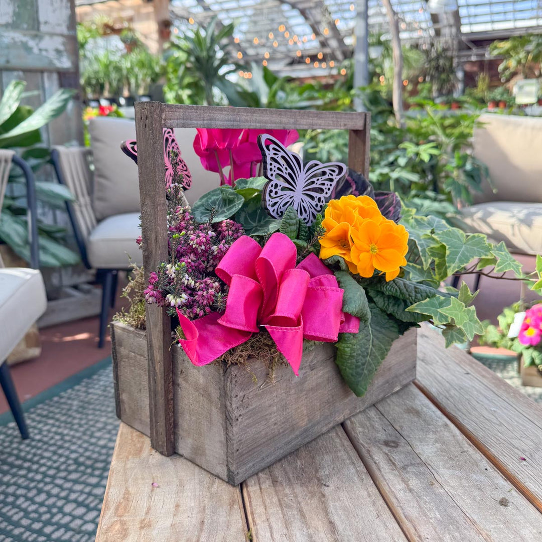 Indoor Spring Blooming Box