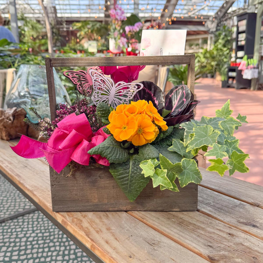 Indoor Spring Blooming Box