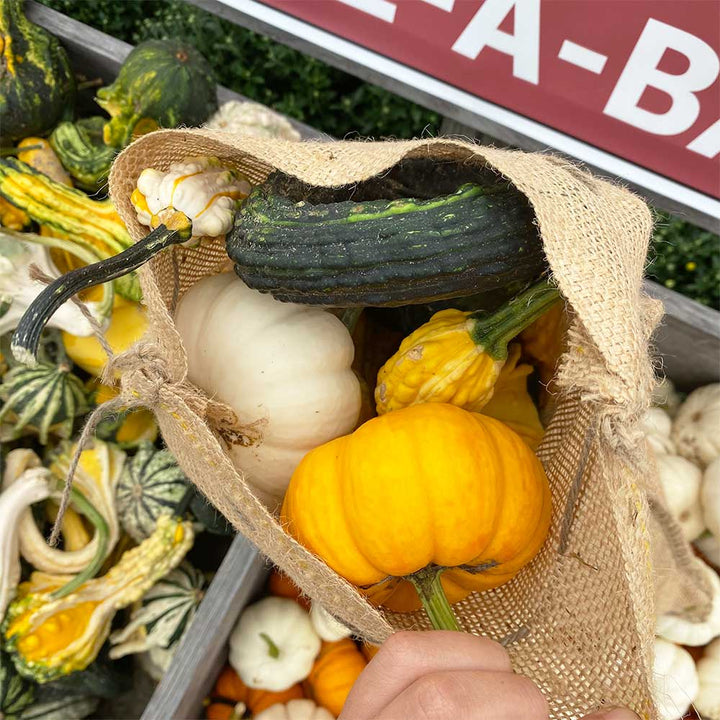 The Gourd Bar