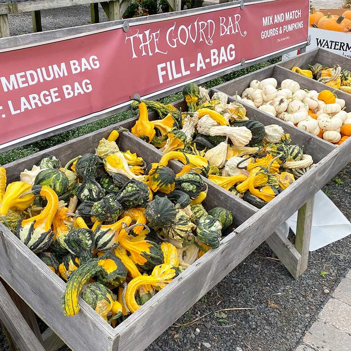 The Gourd Bar